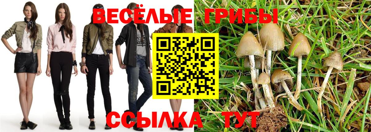 Галлюциногенные грибы Cubensis  Вход с VPN  Нерюнгри 
